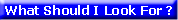 Quality Software